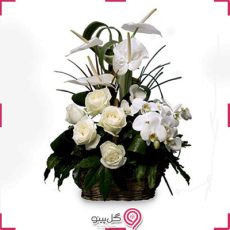 سبد گل رز و ارکیده g-ba-208