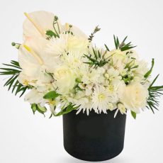 باکس گل آنتریوم سفید