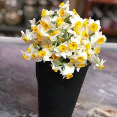 باکس گل نرگس