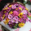 خرید آنلاین سبد گل داوودی و میخک و آلستر g-mosh-ba-310