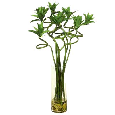 گیاه بامبو دو پیچ g-g-mib-102