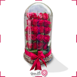 تراریوم گل رز قرمز g-mosh-te-301