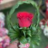 دسته گل رز کلبه گل سن سون برای ولنتاین g-b-112-1-7
