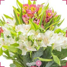 دسته گل آلسترومریا g-b-102