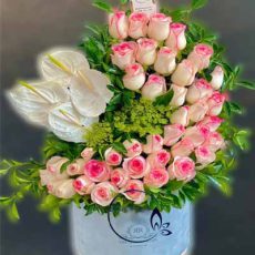 باکس گل هامین g-bo-blr-675