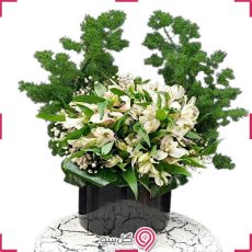 باکس گل آلسترومریا سفید
