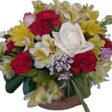 باکس گل پانته‌آ g-bo-ghg-119