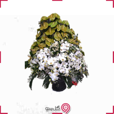 باکس گل ثمینا g-bo-mad-801