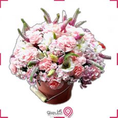 سطل گل دینا g-s-gof-478