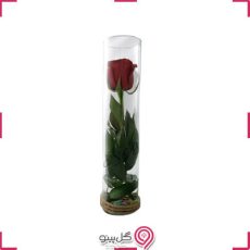 تراریوم گل تناز g-tr-sh-762