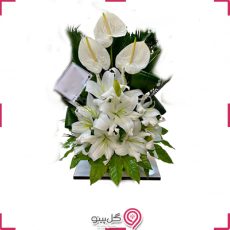 باکس گل نفس g-ba-gma-366