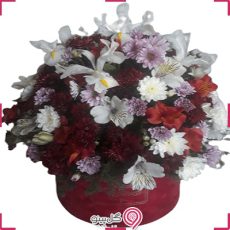 باکس گل وندا g-bo-bah-132
