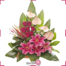باکس گل گلپری g-bo-gso-630