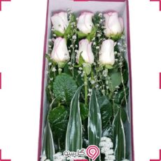 باکس گل سپند g-bo-la-319