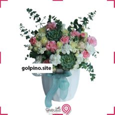 باکس تیارا g-bo-nilk-1008