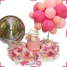 پکیج تولد پارلار g-bo-viv-457