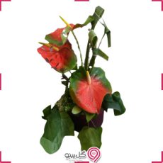 باکس گل تلکا g-bo-ghg-121
