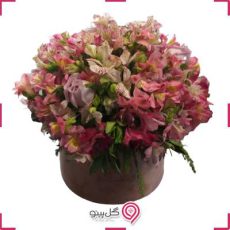 باکس گل سایدا g-bo-ghg-131