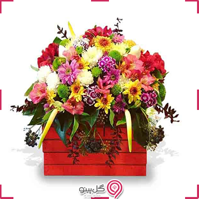 باکس گل رنگارنگ g-mosh-ba-305