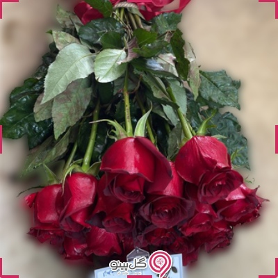 خرید فوق العاده دسته گل رز ایرانی 50 شاخه g-f-ala-1001