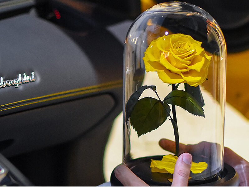 خرید گل رز جاودان در لواسان