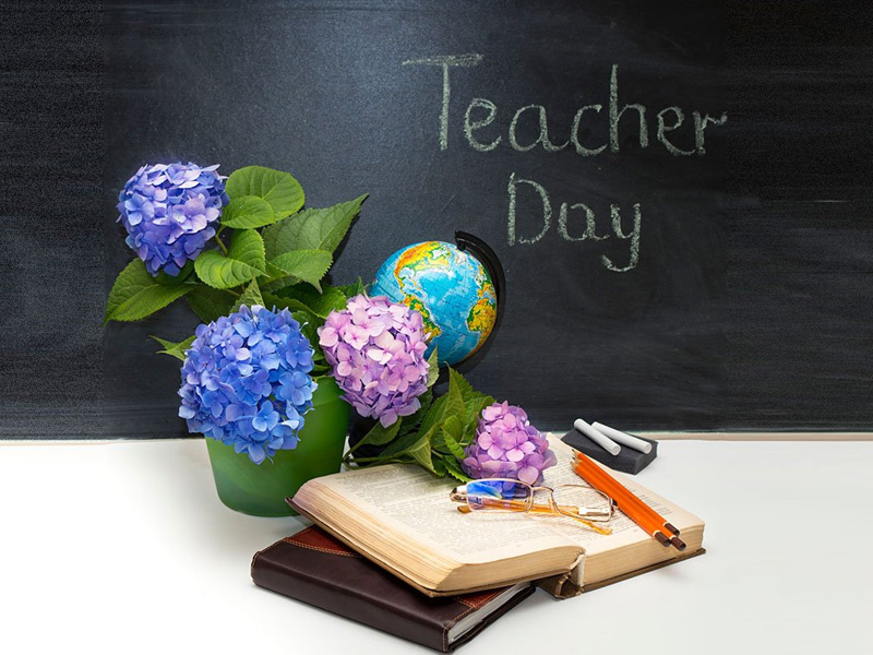 گل روز معلم عکس