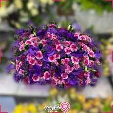 باکس گل مانل g-bo-shan-455