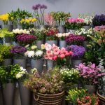 خرید گیاه و گلدان از بازار گل فکوری