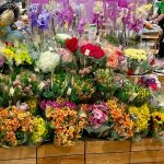 خرید از گلفروشیهای مرزداران