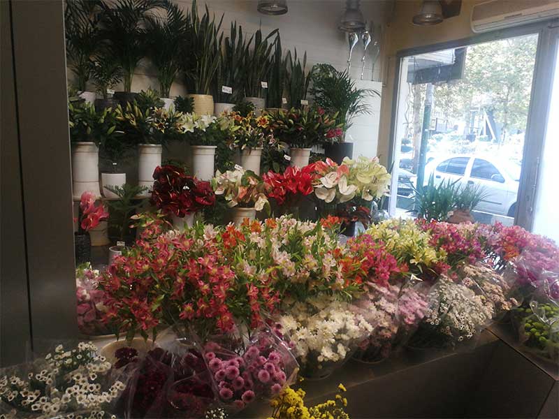 گل فروشی لاله (تولیپ) میرداماد