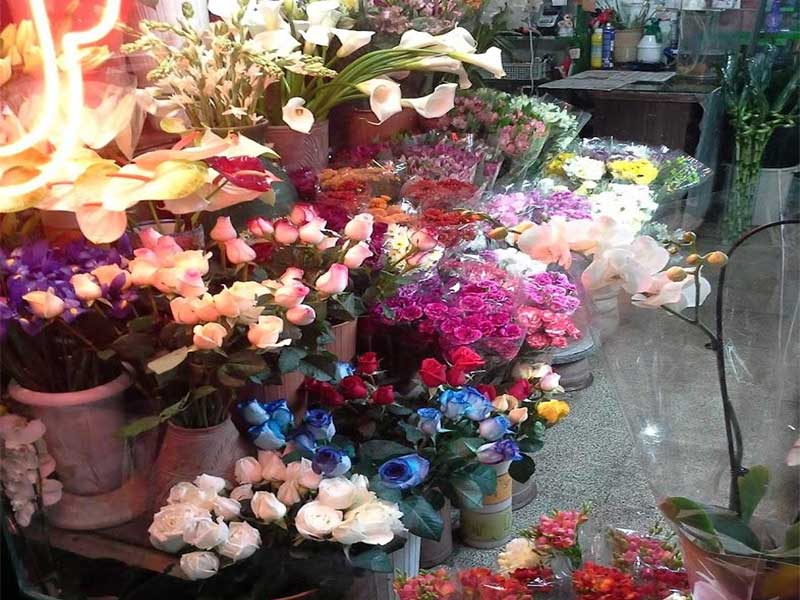 گل فروشی ظفر عبدالهی