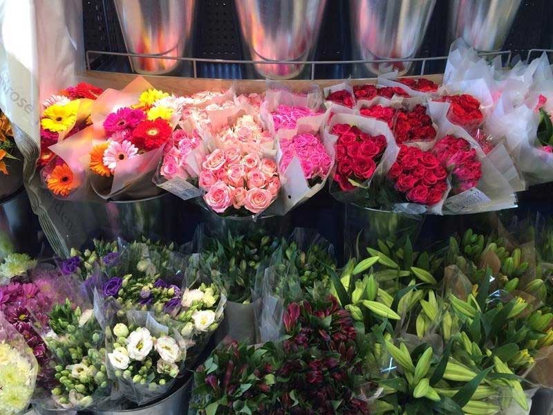 خرید گلدان و گیاه آپارتمانی در نارمک