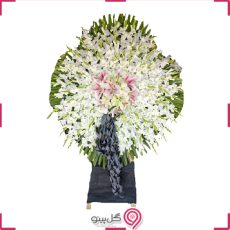 تاج گل سهند g-t-maha-485