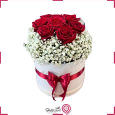 باکس گل آدینه g-f-mir-102
