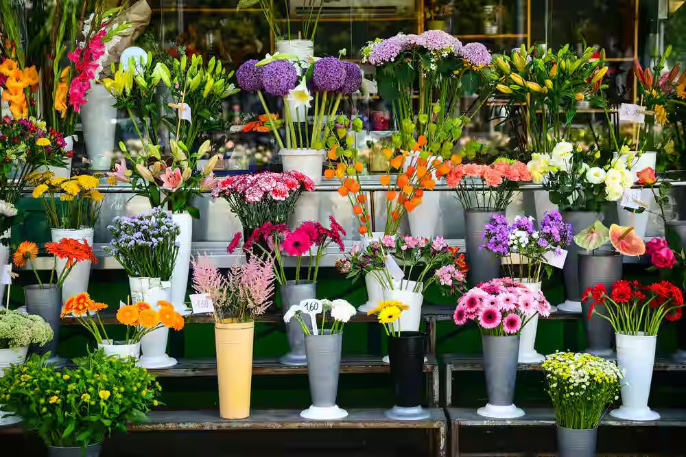 معرفی گلفروشی های پارک وی