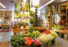 معرفی گلفروشی های پارک وی