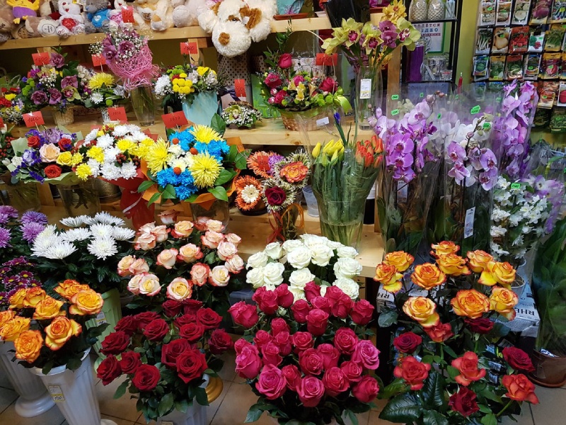 گل فروشی های کامرانیه