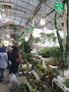 بازار گل ستاری