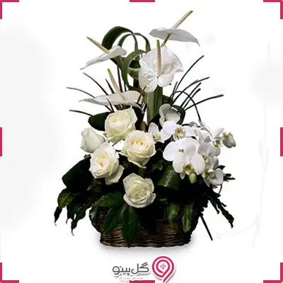 سبد گل رز و ارکیده g-ba-208