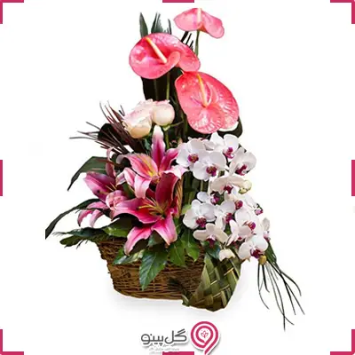 سبد گل آنتریوم g-ba-202