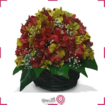 سبد آلستر زرد و نارنجی g-ba-DAN-110