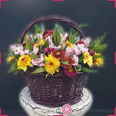 خرید سبد گل داوودی و میخک و آلستر g-mosh-ba-310