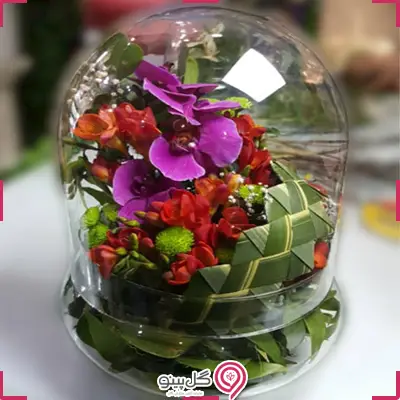 خرید تراریوم ارکیده بزرگ g-te-102