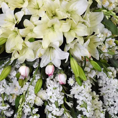 تاج گل مارین