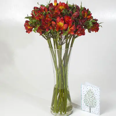 دسته گل آلسترومریا