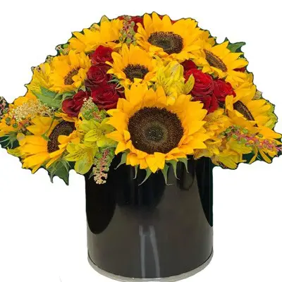 باکس گل رز و آفتابگردون