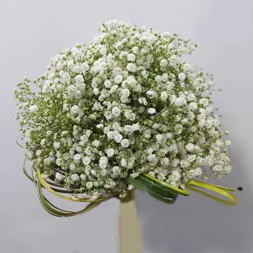 دسته گل ژیپسوفیلا