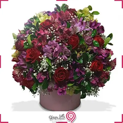 سطل رز قرمز و آلستر g-box-DAN-107