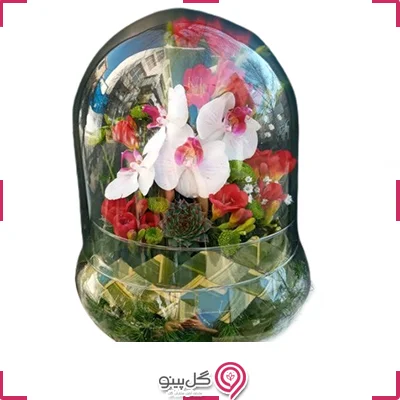 تراریوم ارکیده کوچکg-te-101