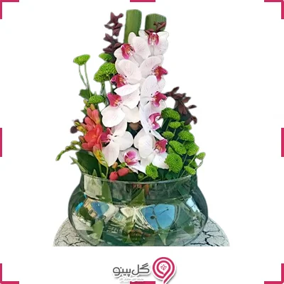 تراریوم ارکیده بزرگ g-te-102